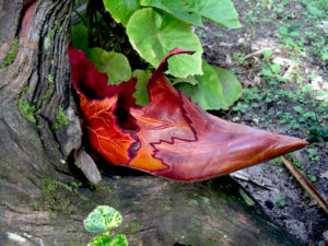 Fairy boots